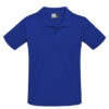 Promodoro Men's Superior Polo Royal